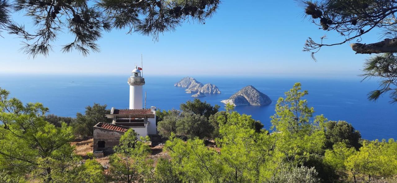 Gelidonia Fenerium Holiday Home Antalya Bagian luar foto