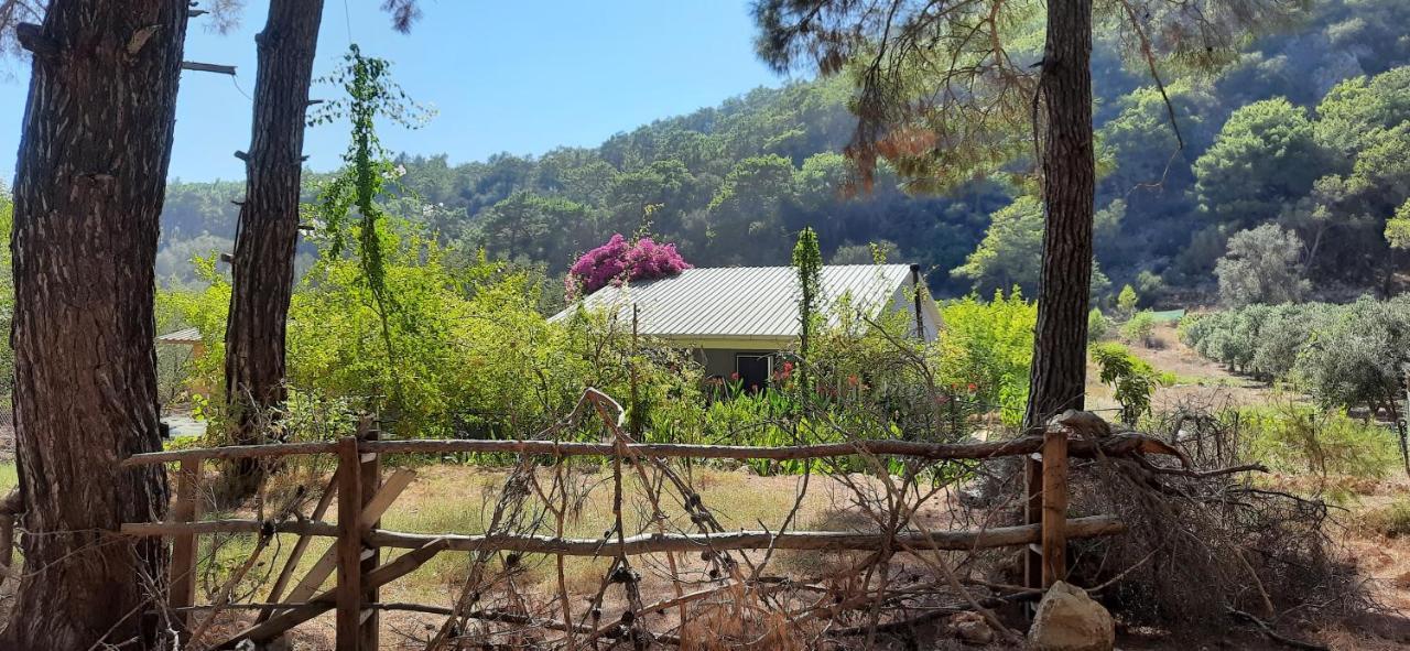 Gelidonia Fenerium Holiday Home Antalya Bagian luar foto