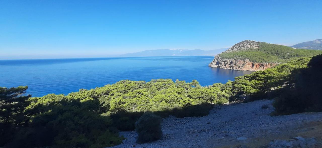 Gelidonia Fenerium Holiday Home Antalya Bagian luar foto