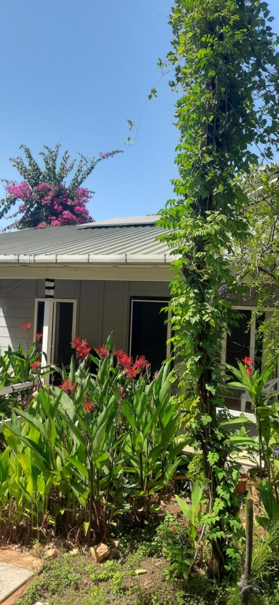 Gelidonia Fenerium Holiday Home Antalya Bagian luar foto
