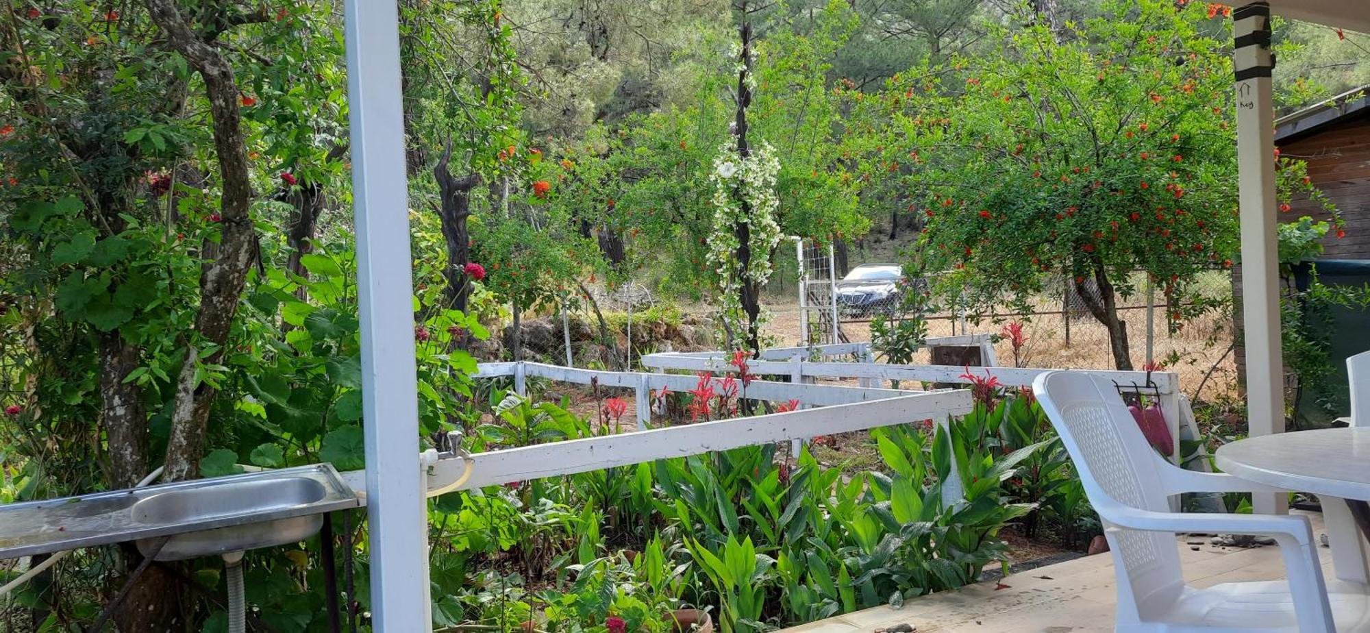 Gelidonia Fenerium Holiday Home Antalya Bagian luar foto