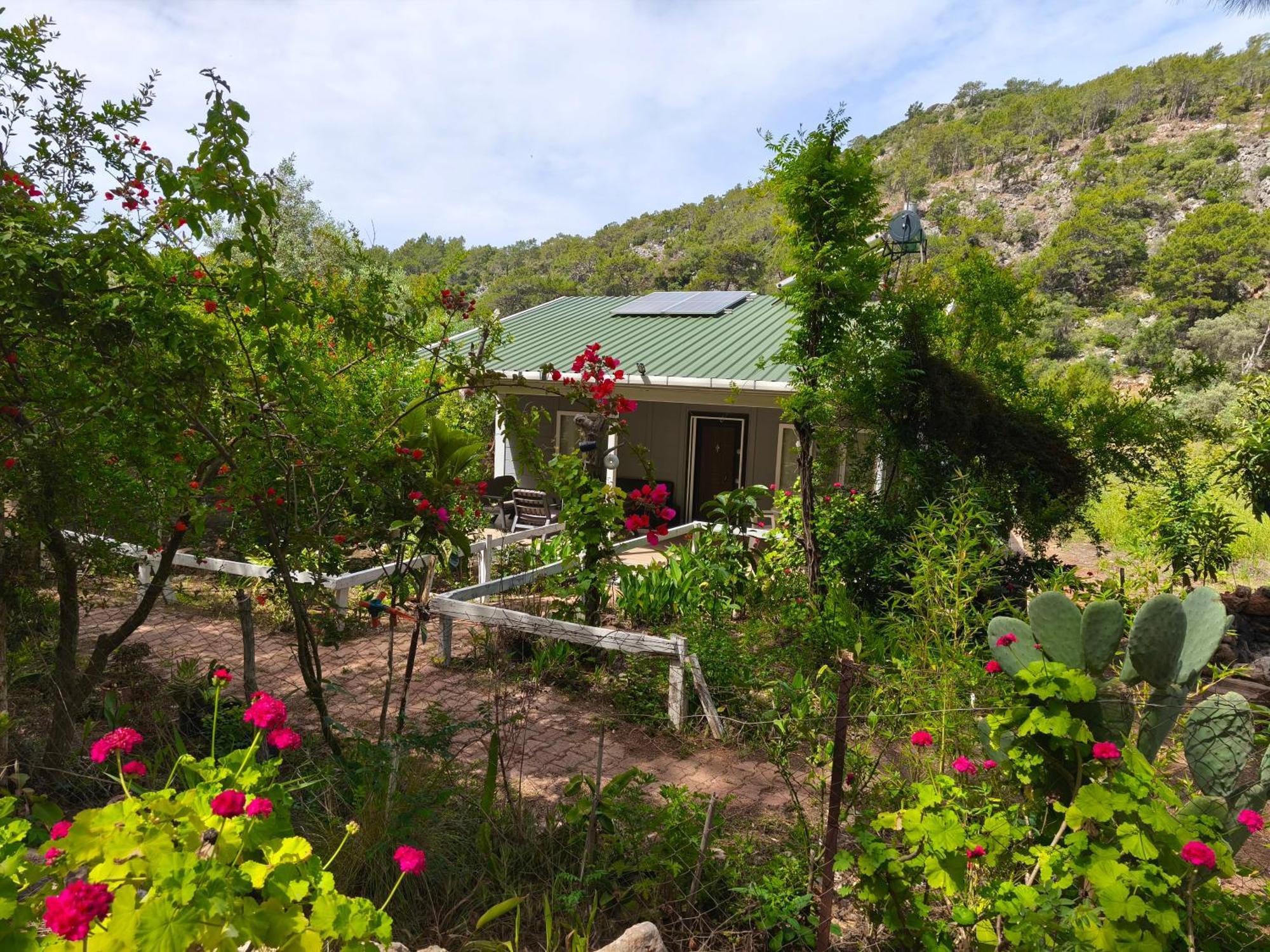 Gelidonia Fenerium Holiday Home Antalya Bagian luar foto