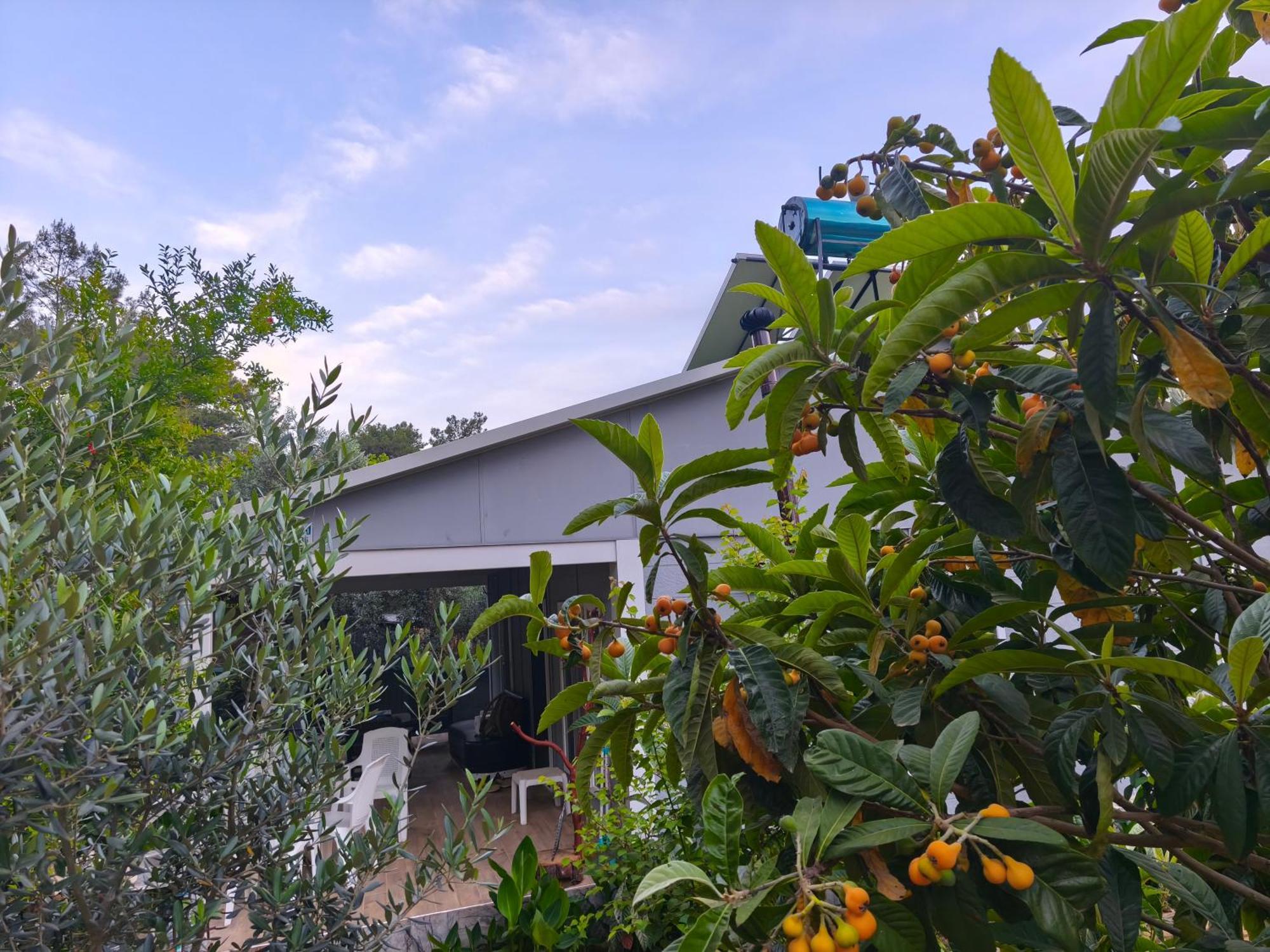 Gelidonia Fenerium Holiday Home Antalya Bagian luar foto