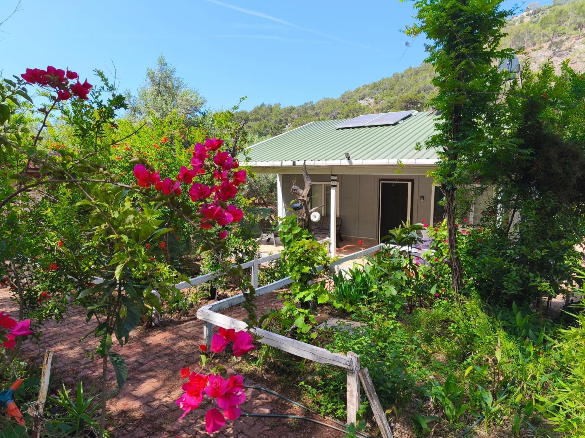 Gelidonia Fenerium Holiday Home Antalya Bagian luar foto